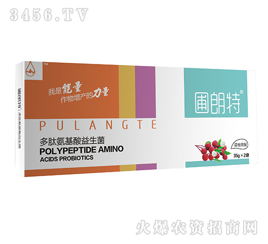 ��֦����-���İ�����������-������