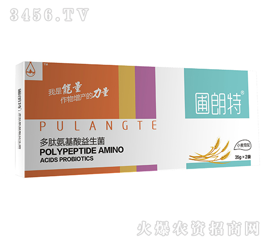 С������-���İ�����������-������