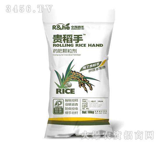 ˎ���w����-�F����-�к�����