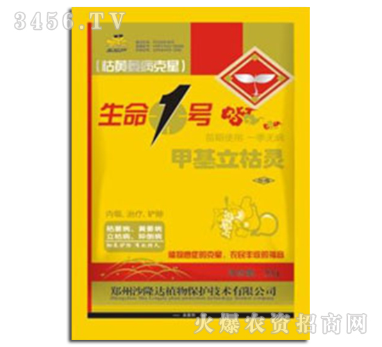 �׻������`������-����1̖-ɳ¡�_