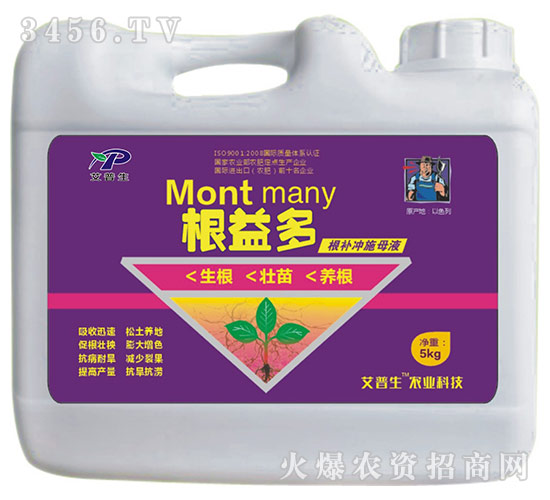 ���a�_ʩĸҺ-�����-������