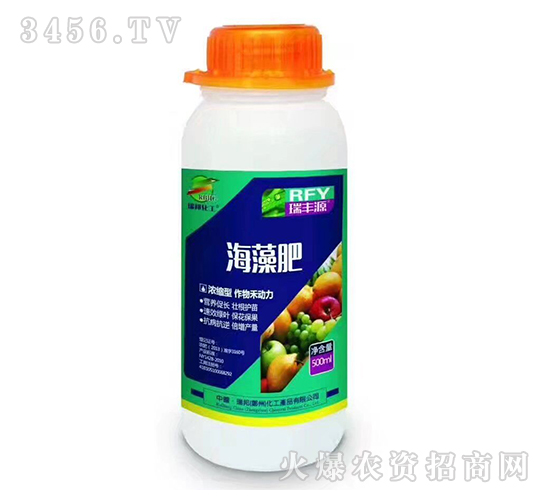 �����-���SԴ-����