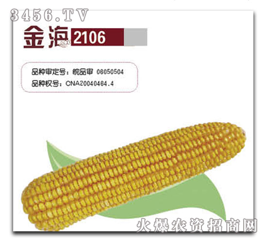 ��2106���׷N-�𺣷N�I(y��)