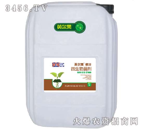 20kg΢�������-����-Ӣ����