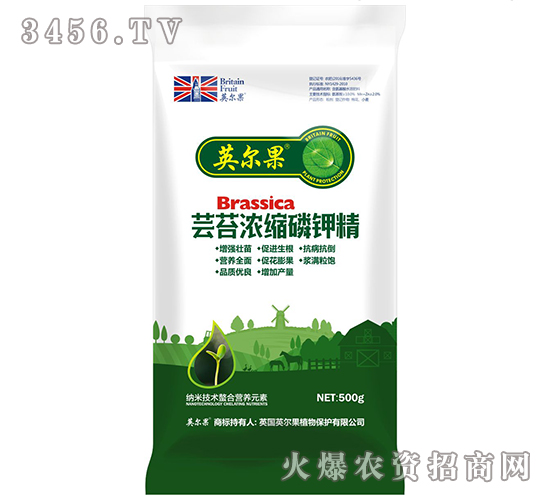 500g�|̦��s��⛾�-Ӣ����