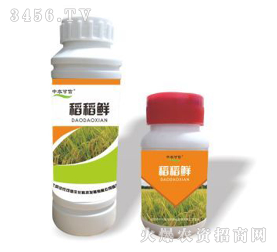 �����r-���r(n��ng)����