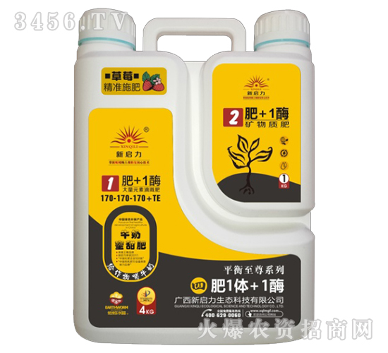 ����Ԫ�صι��170-170-170+TE-�ķ�1�w+1ø-����