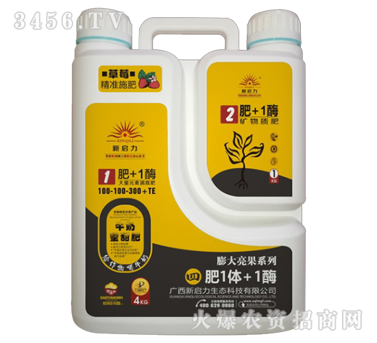 ����Ԫ�صι��100-100-300+TE-�ķ�1�w+1ø-����