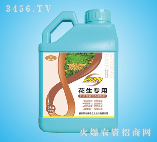 �����������ϑB(t��i)�_ʩ��-�ʄ���-ꖹⴺ��