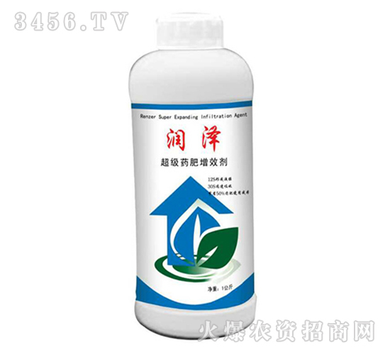 ����-����ˎ����Ч��-ɭ��