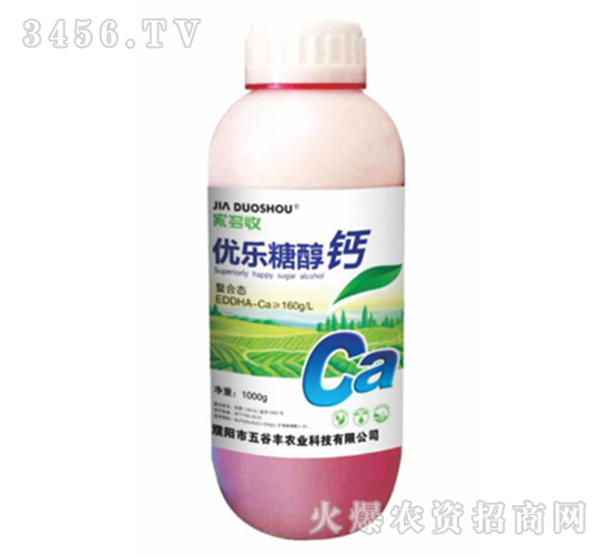 ��(y��u)���Ǵ��}-�Ҷ���-����S