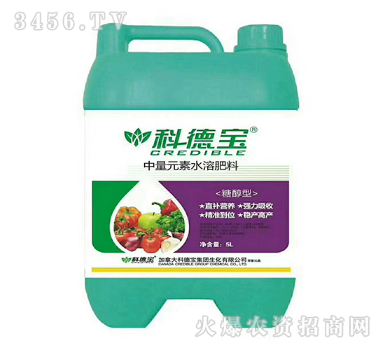 5L�Ǵ�������Ԫ��ˮ�ܷ���-�Ƶ�