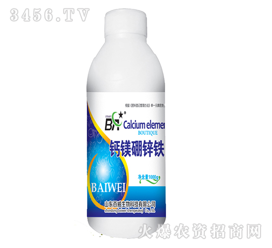 �}�V���\�F-�������L(f��ng)-��������