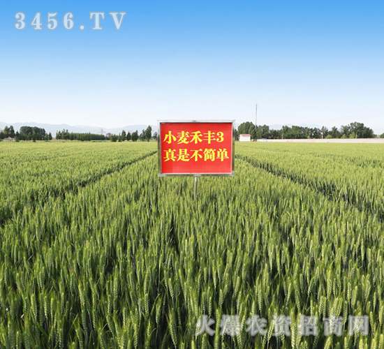 ���S3̖��һ��