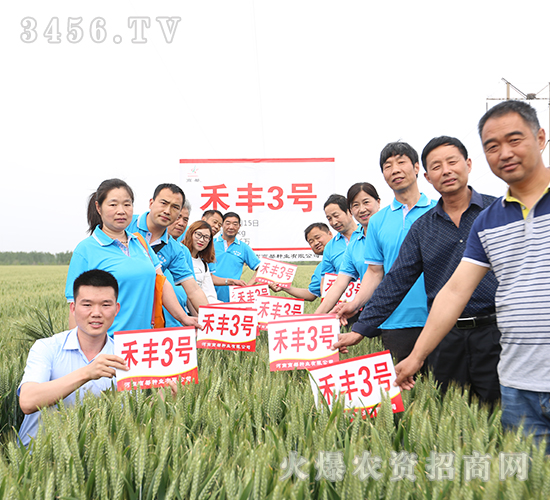 ���S3̖������