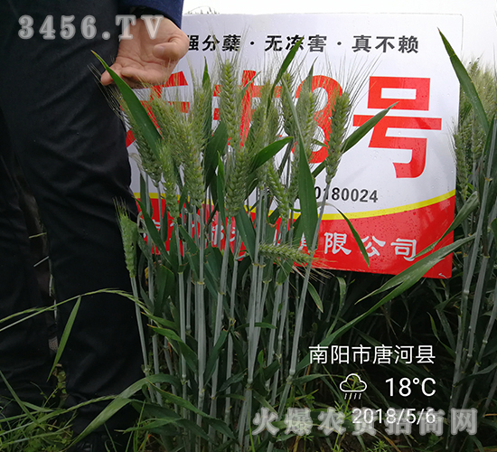 ���S3̖���ߣ�