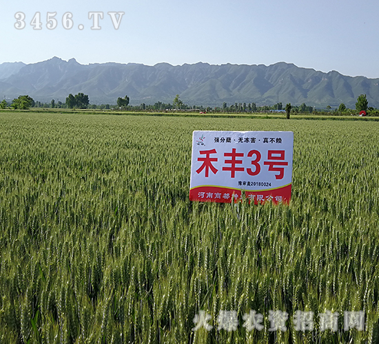 ���S3̖(h��o)���ˣ�