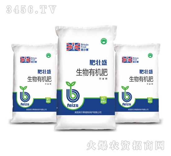 �����ЙC��-�ʉ�ʢ-Ӣ����