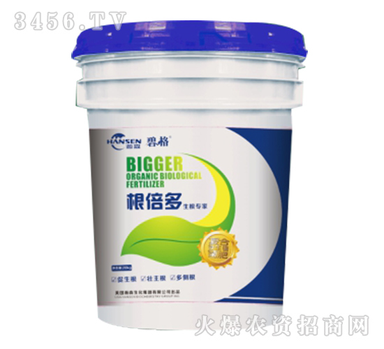 ������-�̸�-�ɭ