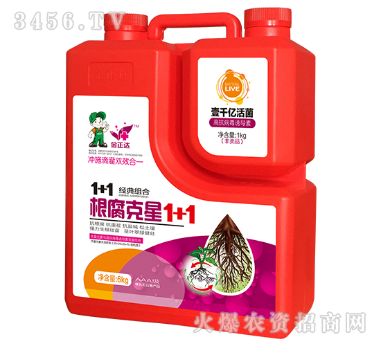 ��������1+1-�����_�r(n��ng)