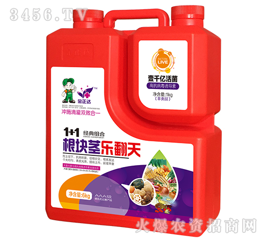 ���K�o������-�����_�r(n��ng)