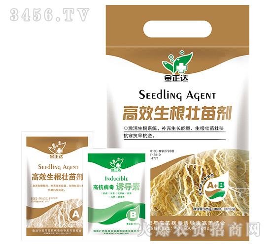 �~���-��Ч�������焩-�����_(d��)�r(n��ng)