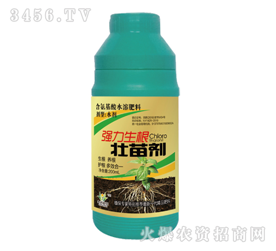 �����������焩-���_�ˠ�-�����_�r(n��ng)