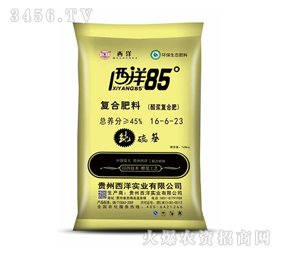 �ͺϷ���16-6-23-����85-����