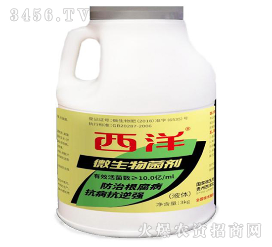 3kg΢�������-����-����(sh��)�I(y��)