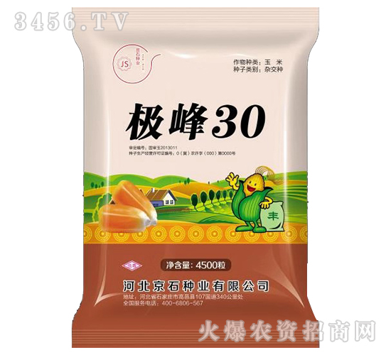極峰30-玉米種子-京石種業(yè)