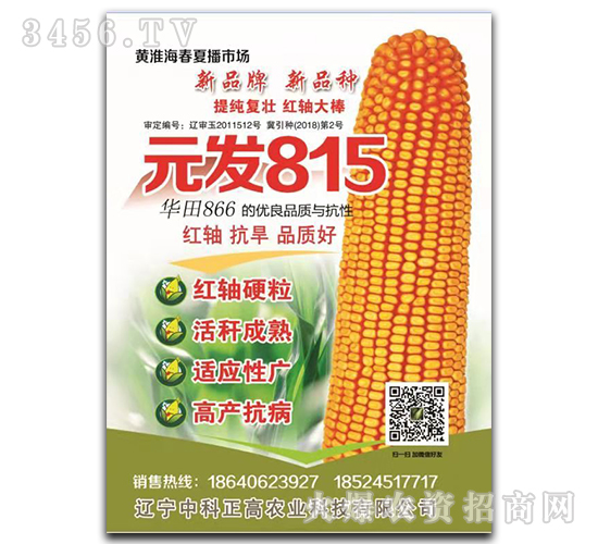 元發(fā)815-玉米種子-中科正高