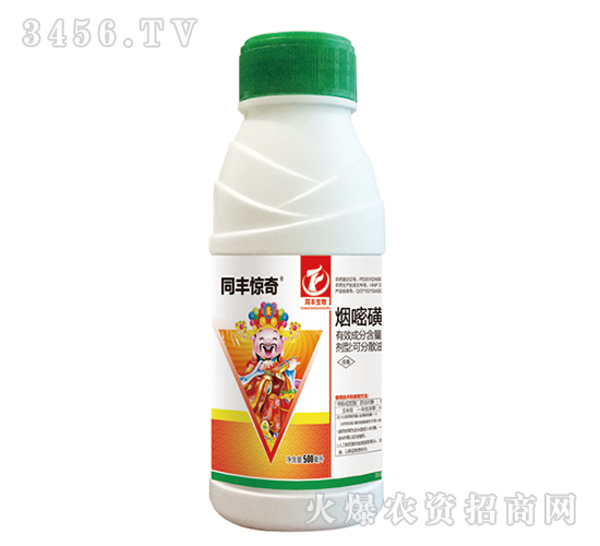 ���׻�¡-ͬ�S�@��-ͬ�S����