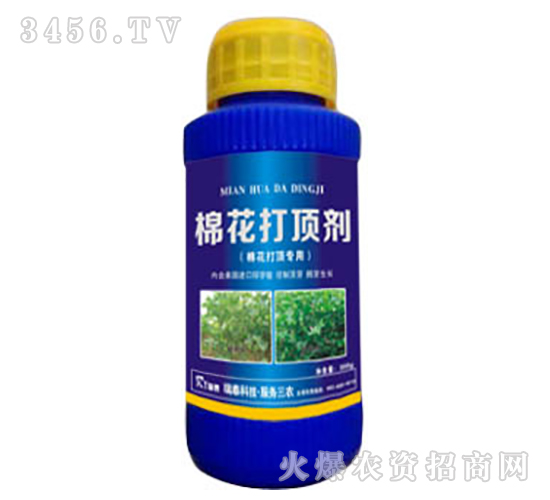 �޻���프�-��̩���