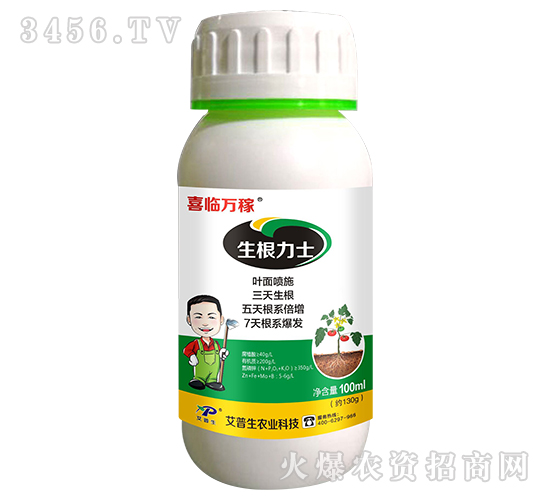 ������ʿ-ϲ�R�f��-������