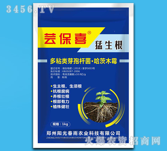 猛生根-蕓保喜-陽光春雨