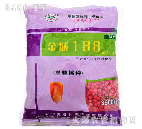 金城188(新丹9號)-玉米種子-天成種業(yè)