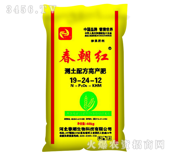 �����t19-24-12-����