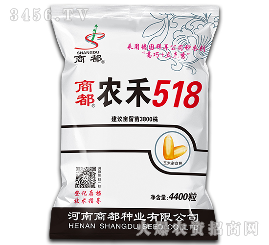 農(nóng)禾518-玉米雜交種-商都種業(yè)