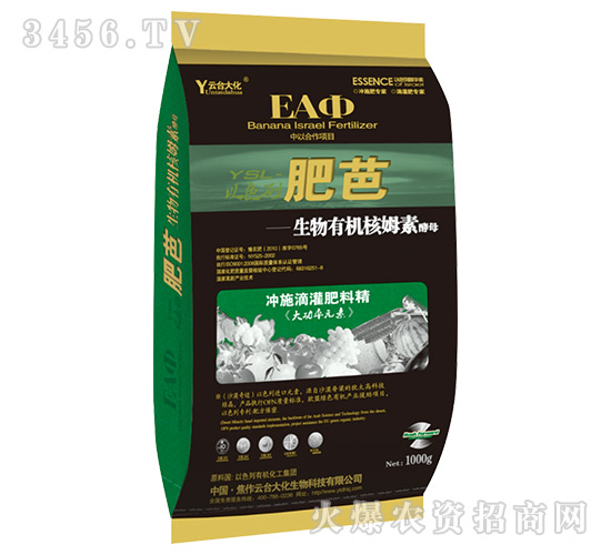 �ʰ�-���_��