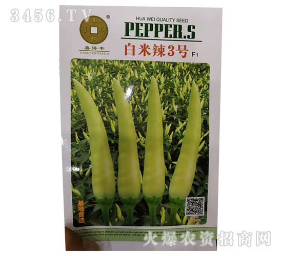 ������3̖-�����N��-�A��N�I(y��)