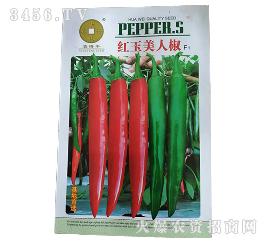 �t�����˽�-�����N��-�A��N�I(y��)