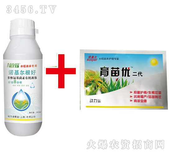 ����ô�n-�Z����