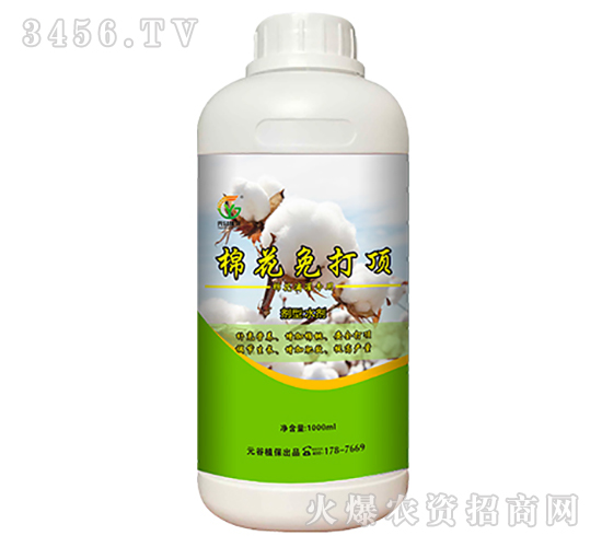 �޻�����-Ԫ��ֲ��