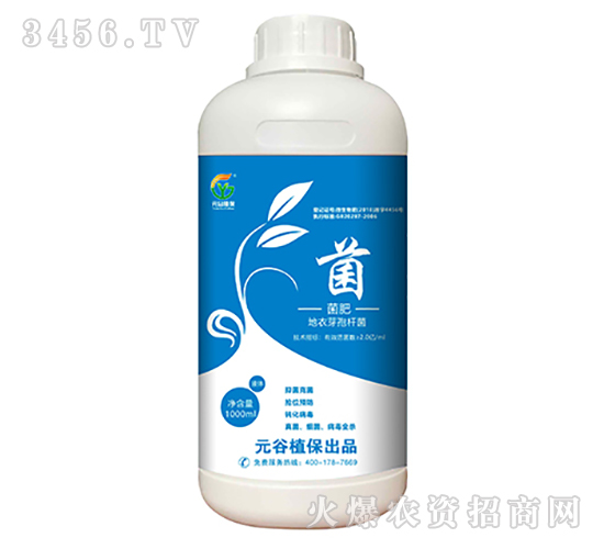 ����ѿ�ߗU������-Ԫ��ֲ��