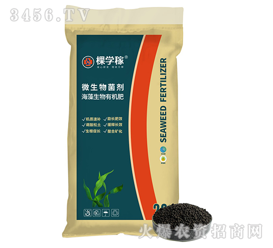 ���������ЙC(j��)��-�ÌW(xu��)��