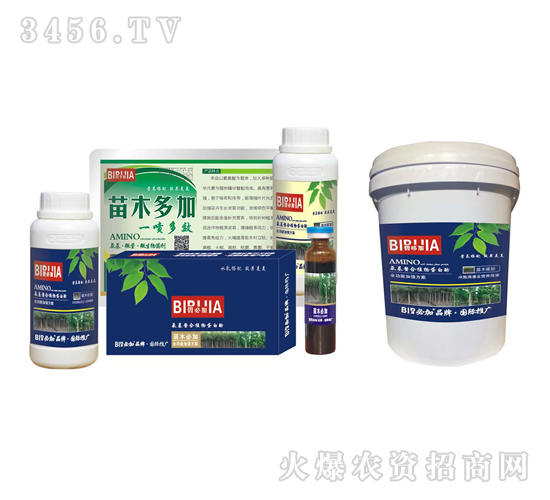 ��ľ�ؼ�-�κ�����