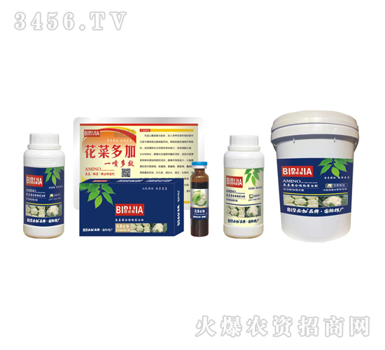 ���˱ؼ�-�κ�����