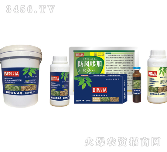 �ٺϱؼ�-�κ�����