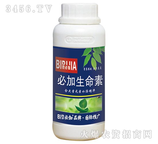 �ؼ�������-�̱ؼ�-�κ�����