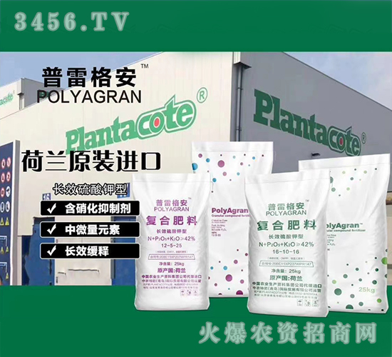 �ͺϷ���-���׸�-���ϻ���